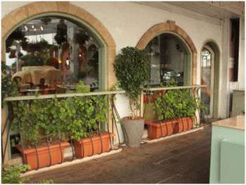 Hotel Beach Garden Mumbai Eksteriør bilde
